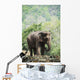 Baby elephant Wall Mural