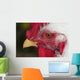 A rooster shows his best side Wall Mural