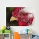 A rooster shows his best side Wall Mural
