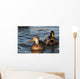A pair of Mallards swim in the Columbia River Wall Mural