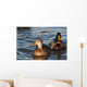 A pair of Mallards swim in the Columbia River Wall Mural