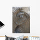 Elephant eye Wall Mural