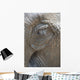 Elephant eye Wall Mural