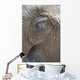 Elephant eye Wall Mural