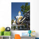 Wat Doi Kham Temple Buddha Wall Mural