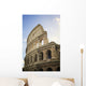 Colosseum Wall Mural