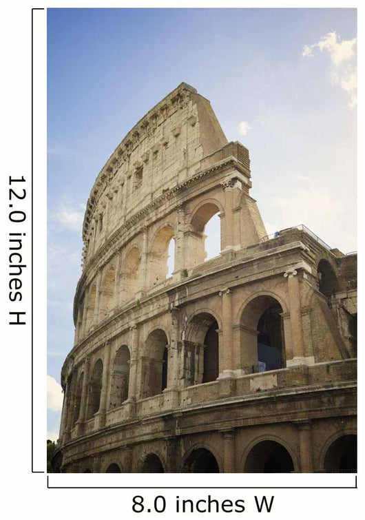 Colosseum Wall Mural