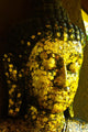 Face Buddha