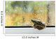 A brown frog sits on a window ledge looking outside at the rain Wall Mural