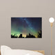 Aurora Borealis and milky way visible Wall Mural