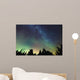 Aurora Borealis and milky way visible Wall Mural
