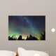 Aurora Borealis and milky way visible Wall Mural