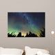 Aurora Borealis and milky way visible Wall Mural