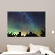 Aurora Borealis and milky way visible Wall Mural