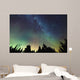 Aurora Borealis and milky way visible Wall Mural