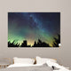 Aurora Borealis and milky way visible Wall Mural