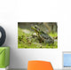 Side view of alert green frog Wall Mural