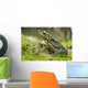 Side view of alert green frog Wall Mural
