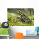 Side view of alert green frog Wall Mural
