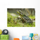 Side view of alert green frog Wall Mural