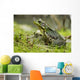 Side view of alert green frog Wall Mural