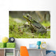 Side view of alert green frog Wall Mural