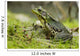 Side view of alert green frog Wall Mural
