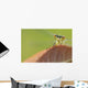 Damselfly perched on a leaf Wall Mural