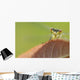 Damselfly perched on a leaf Wall Mural