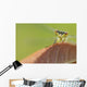 Damselfly perched on a leaf Wall Mural