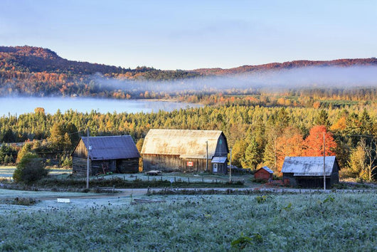 Rustic buildings and barn among autumn colors at sunrise Wall Mural