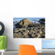 The lunar-like landscape of Giant's Causeway Wall Mural