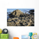 The lunar-like landscape of Giant's Causeway Wall Mural