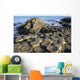 The lunar-like landscape of Giant's Causeway Wall Mural