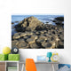 The lunar-like landscape of Giant's Causeway Wall Mural