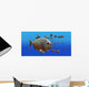 piranha v3 Wall Mural