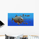 piranha v3 Wall Mural