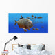piranha v3 Wall Mural
