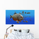 piranha v3 Wall Mural