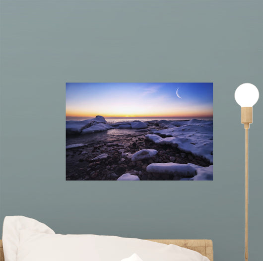 Icy Shores Lake Michigan Wall Decal