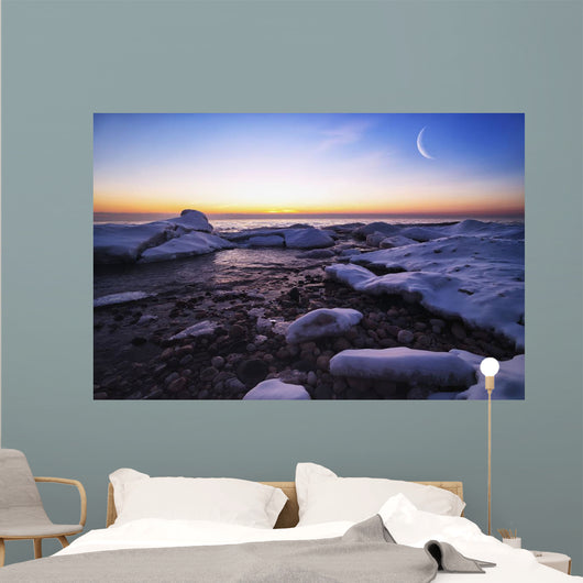 Icy Shores Lake Michigan Wall Decal