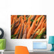 Green plastic baskets with freshly picked organic carrots for sale Wall Mural