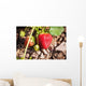 Strawberries on a plant Wall Mural