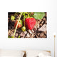 Strawberries on a plant Wall Mural