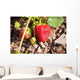 Strawberries on a plant Wall Mural