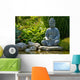 Japan Culture Zen of Buddhism Wall Mural