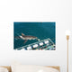 requin blanc Wall Mural