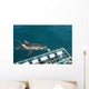 requin blanc Wall Mural
