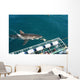 requin blanc Wall Mural