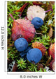 Close up of blueberries amongst fall tundra plants and leaves Wall Mural